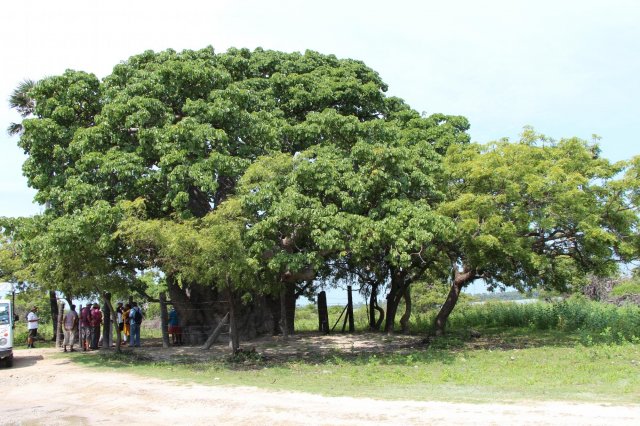 Tourism locations in Delft Island.
